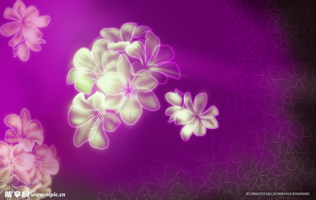 古典白花