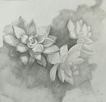 手绘  素描
