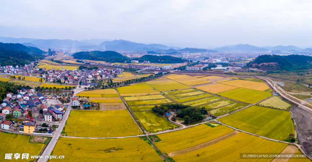 田野