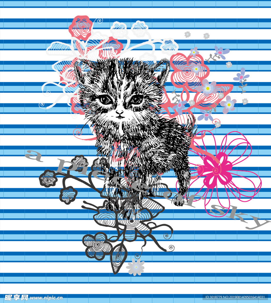 猫