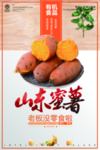 山东蜜薯