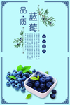 蓝莓