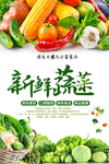新鲜蔬菜海报