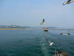 大海风光