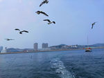 大海风光