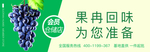 水果 水果海报 水果展板 水果