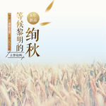 淘宝主图