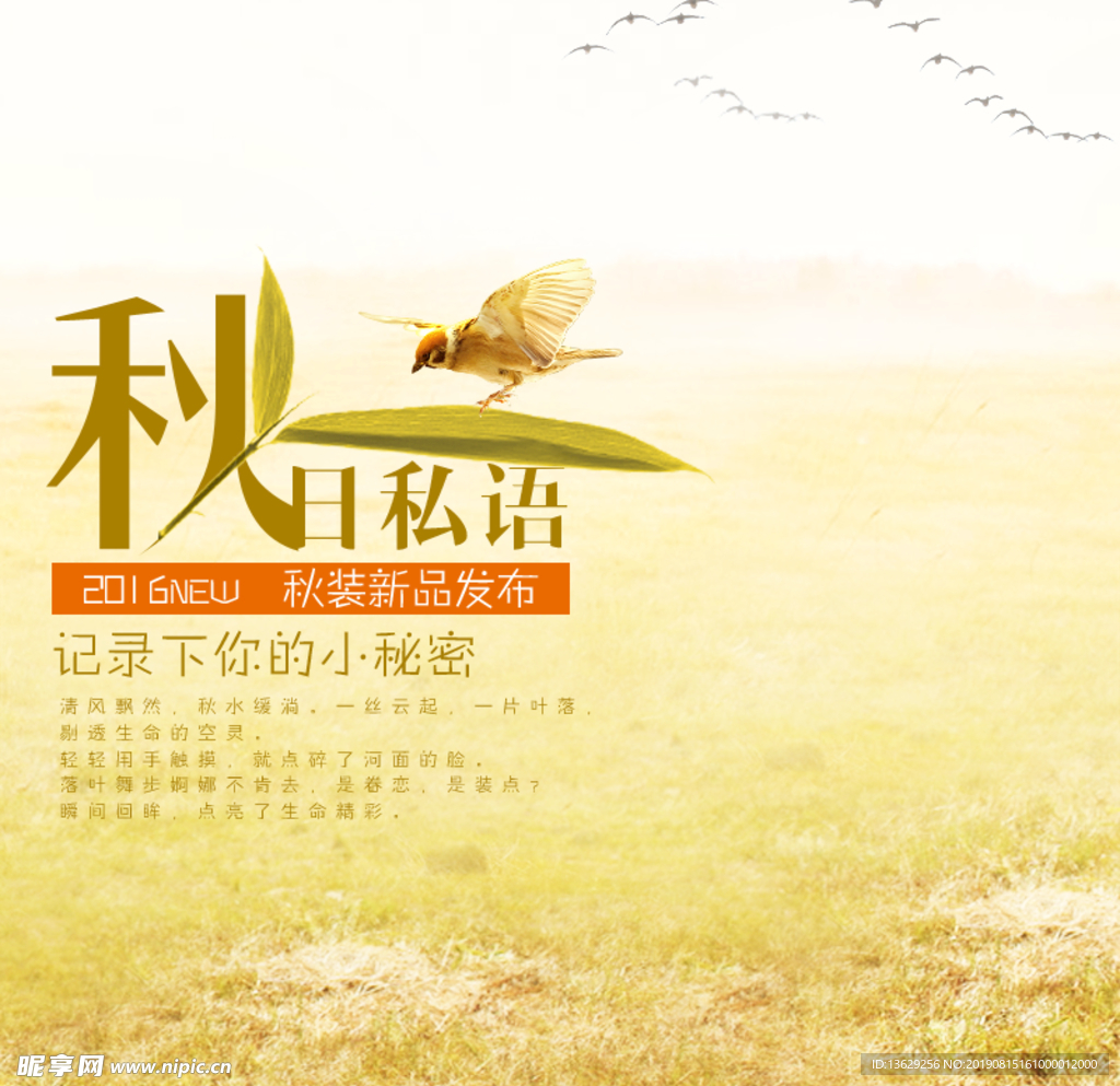 秋季主图