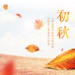 初秋主图