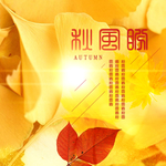 秋季主图