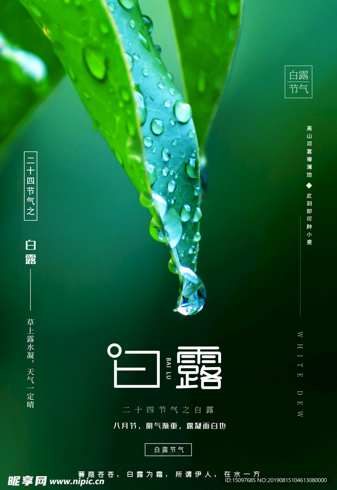白露