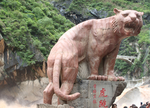 香格里拉虎跳峡石牌