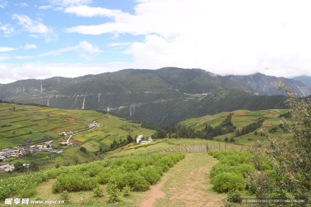 乡村景色