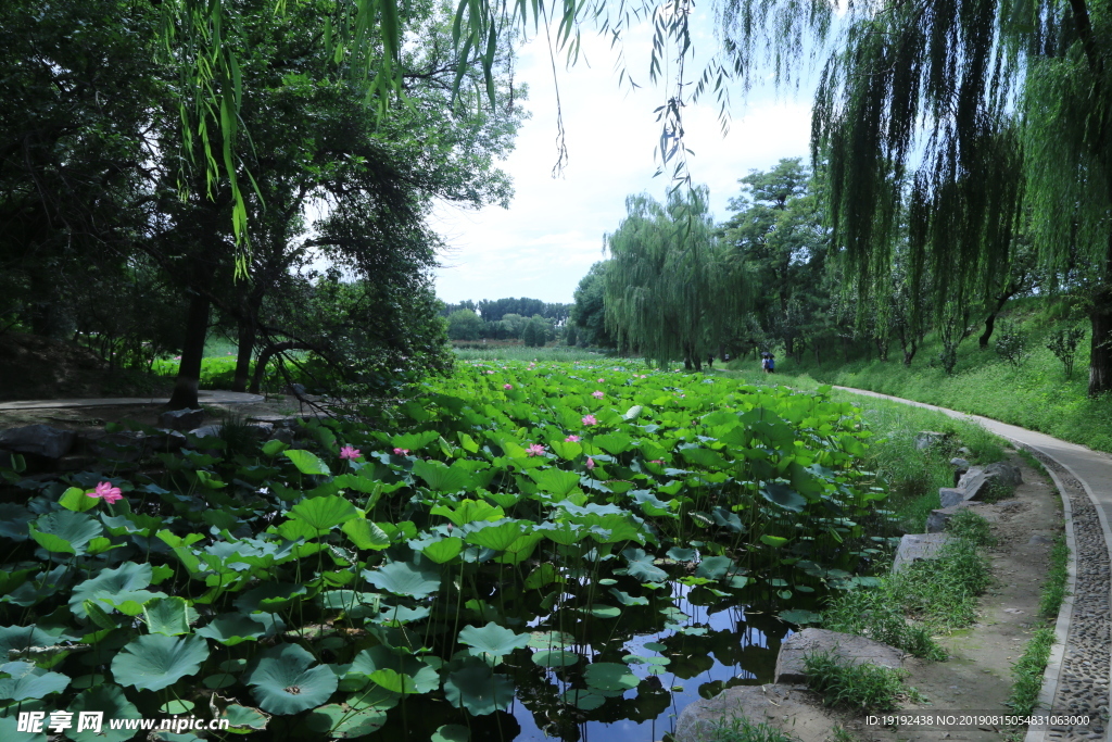 圆明园风景
