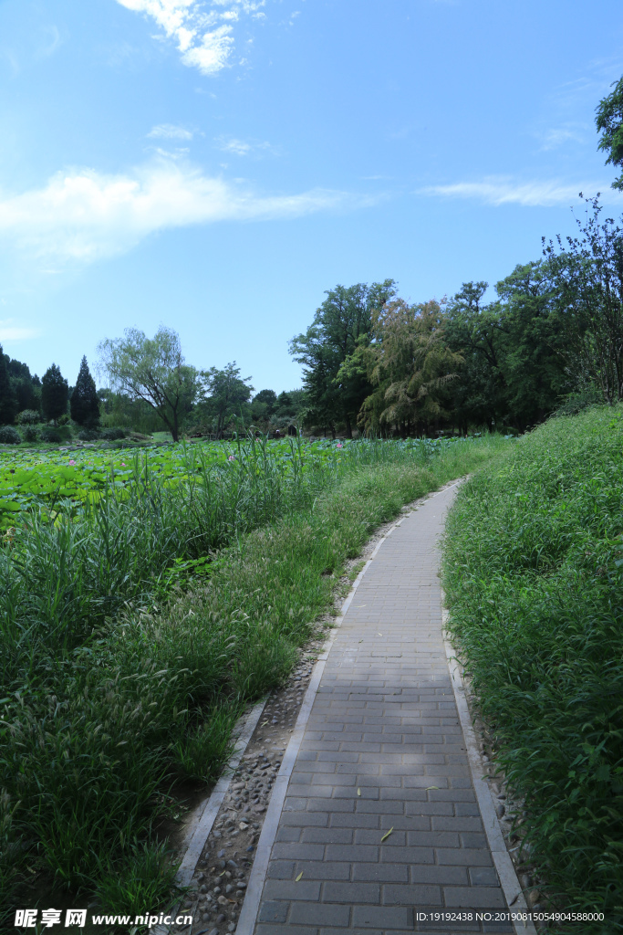 圆明园风景