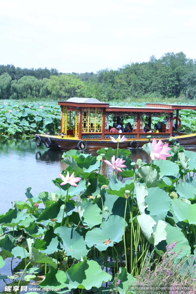 圆明园风景