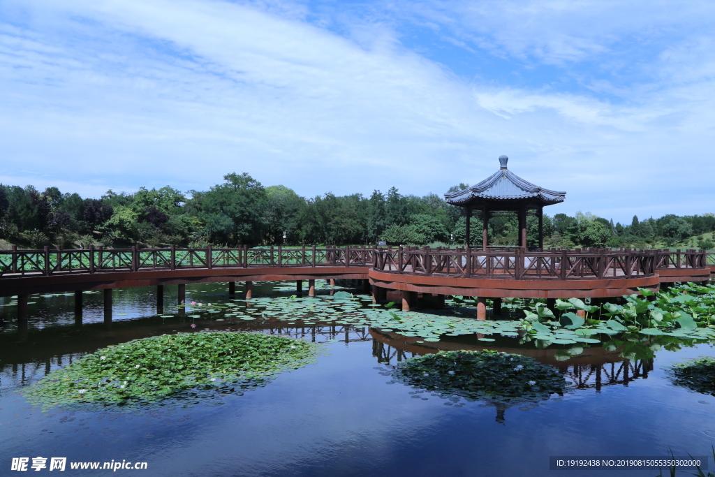 圆明园风景