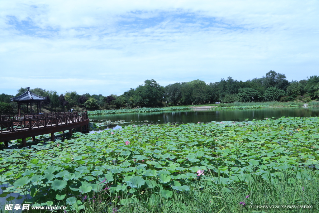 圆明园风景