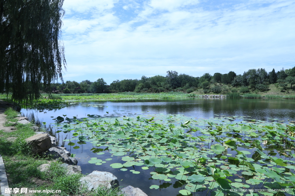 圆明园风景