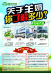 臻羊 传奇 海报