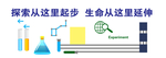 物理化学生物文化墙