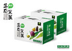 产品包装设计模板