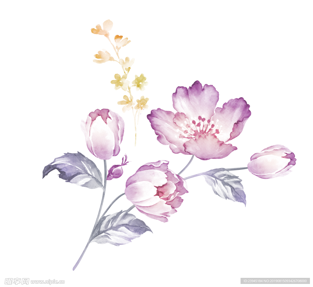 水彩花卉