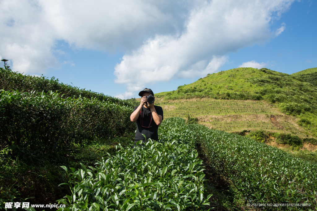 株洲龟龙窝茶园