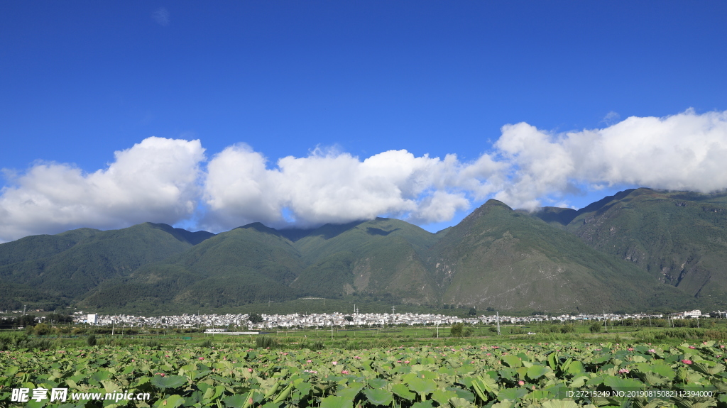 周城古镇风光