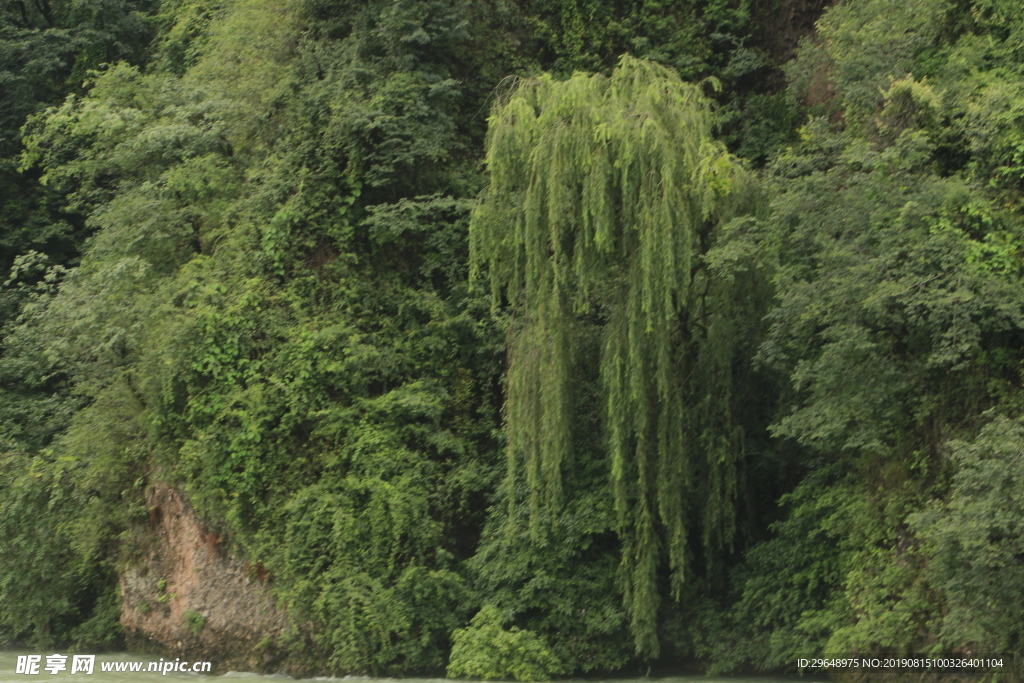 风景