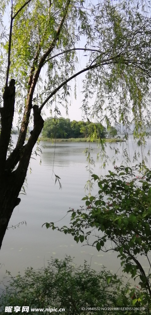 湖边
