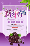 葡萄