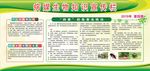 病媒知识高清宣传栏