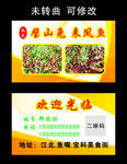 壁山兔 来凤鱼 名片制作