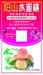 阳山水蜜桃