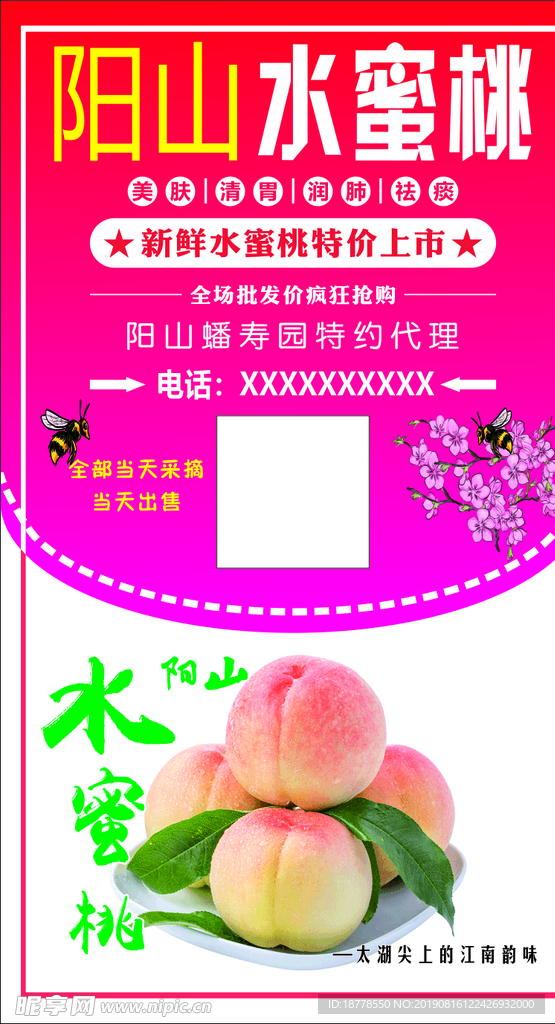 阳山水蜜桃