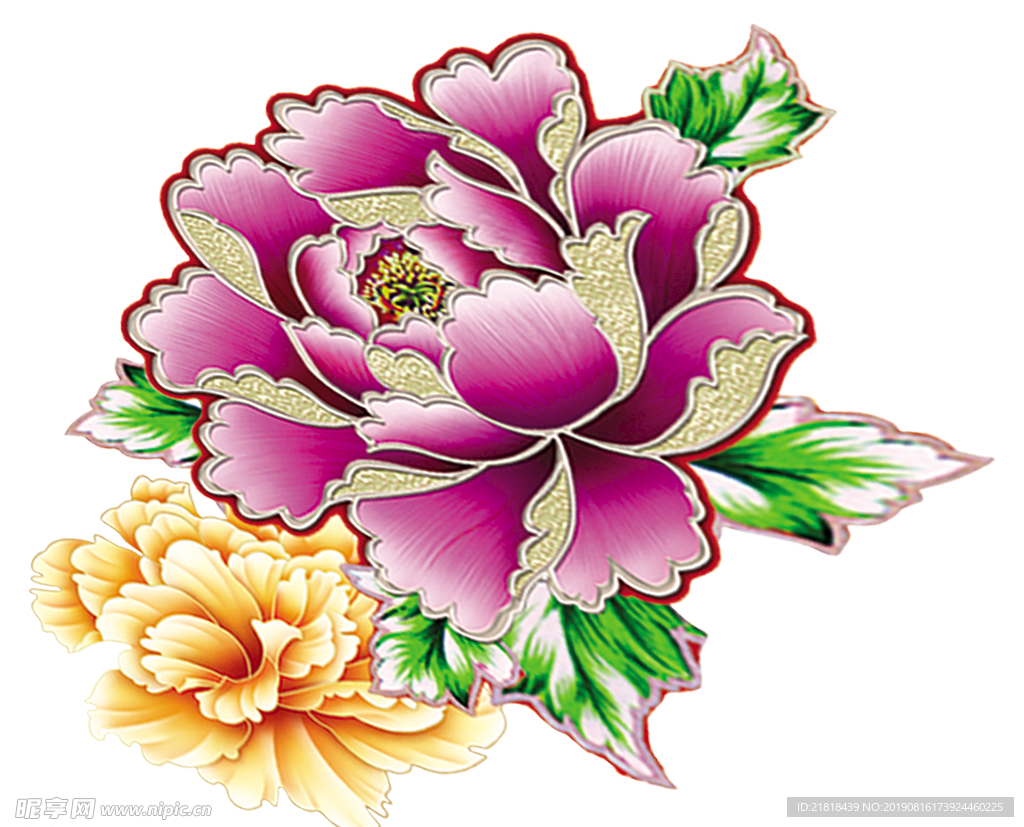 牡丹花