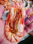 烤虾干