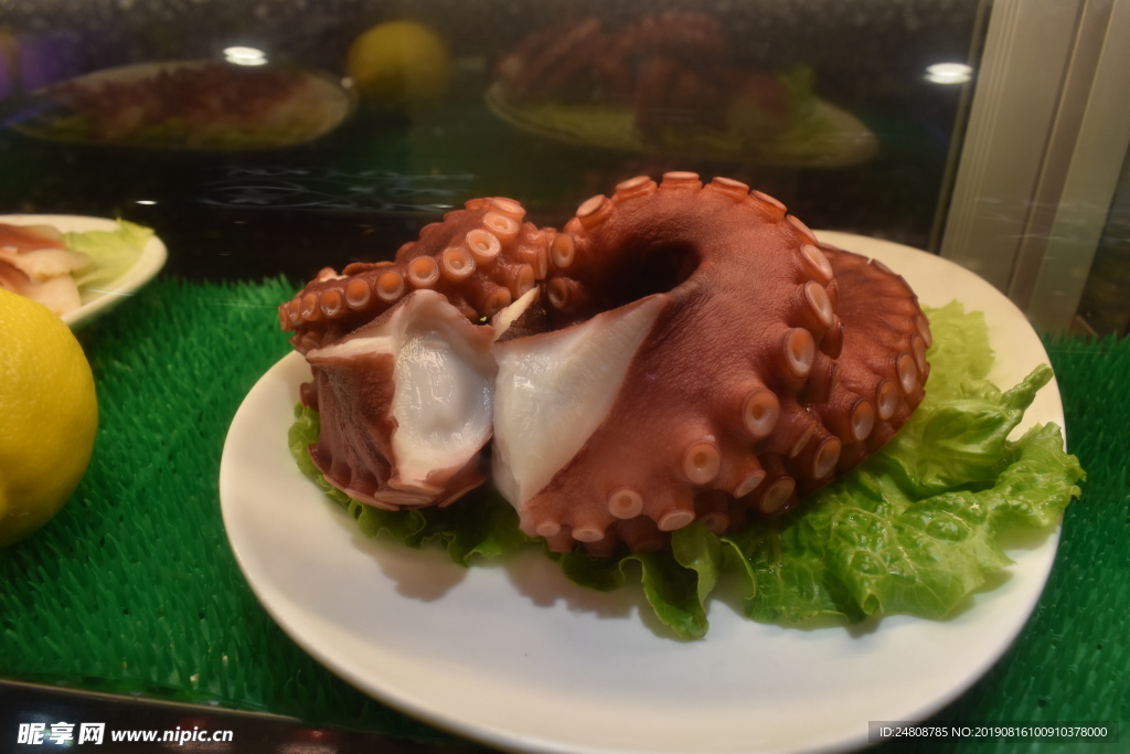 八爪鱼