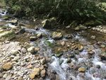 流水风景