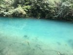 风景水面