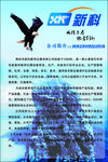 公司背景