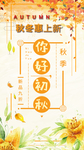 秋装上新