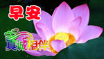 早安图片