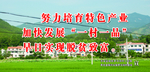 新农村