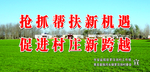 创卫  新农村