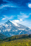 高山