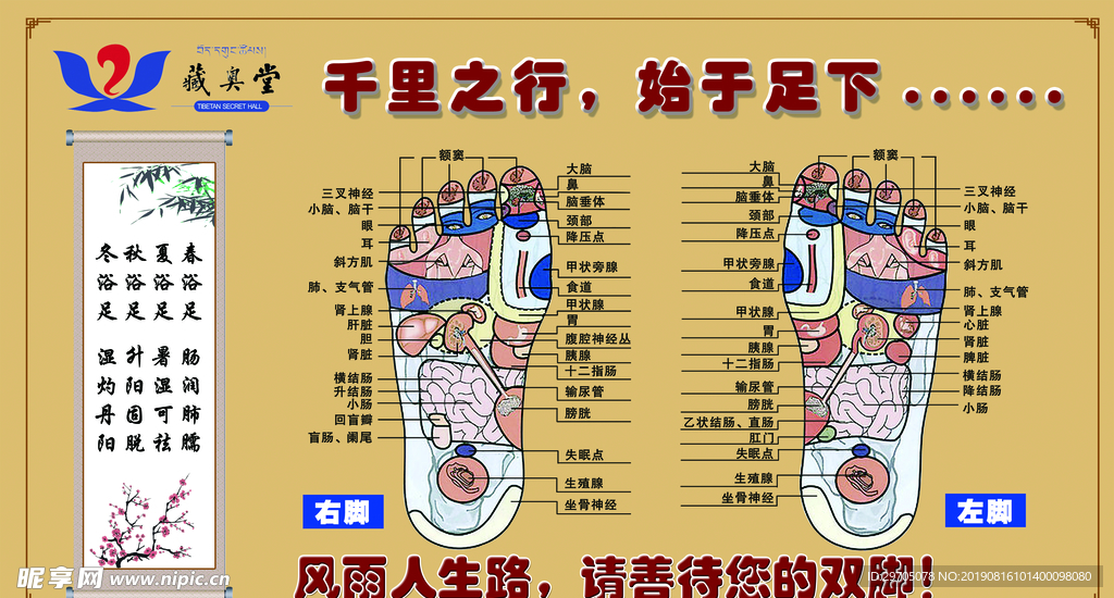 藏奥堂足底穴位图