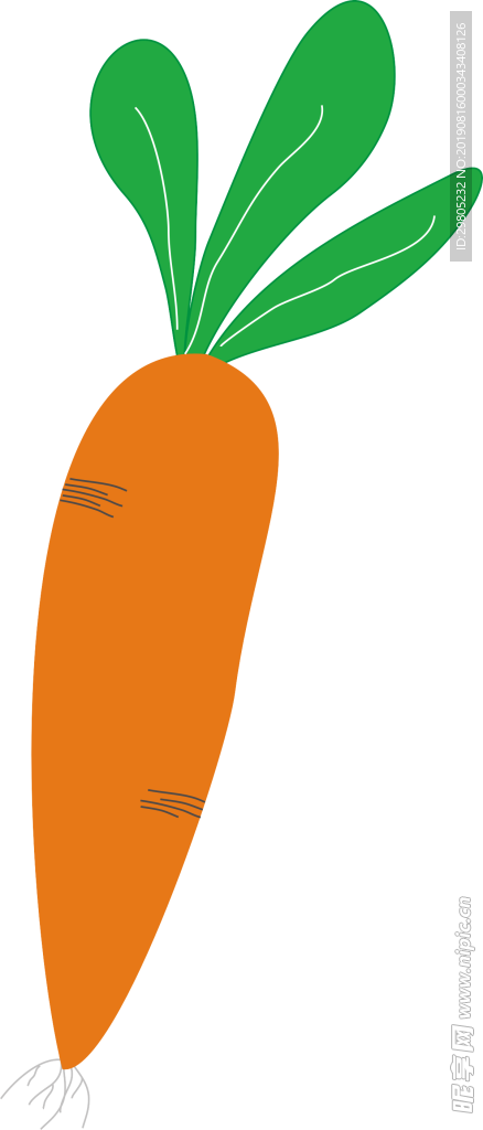 胡萝卜
