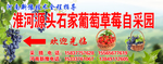 采摘园